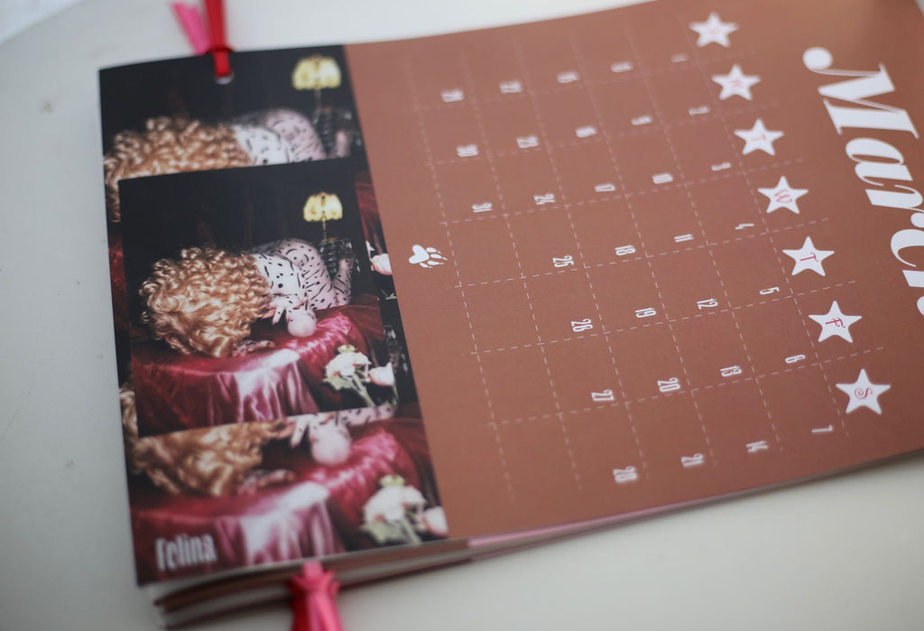 Felina Calendar 2026